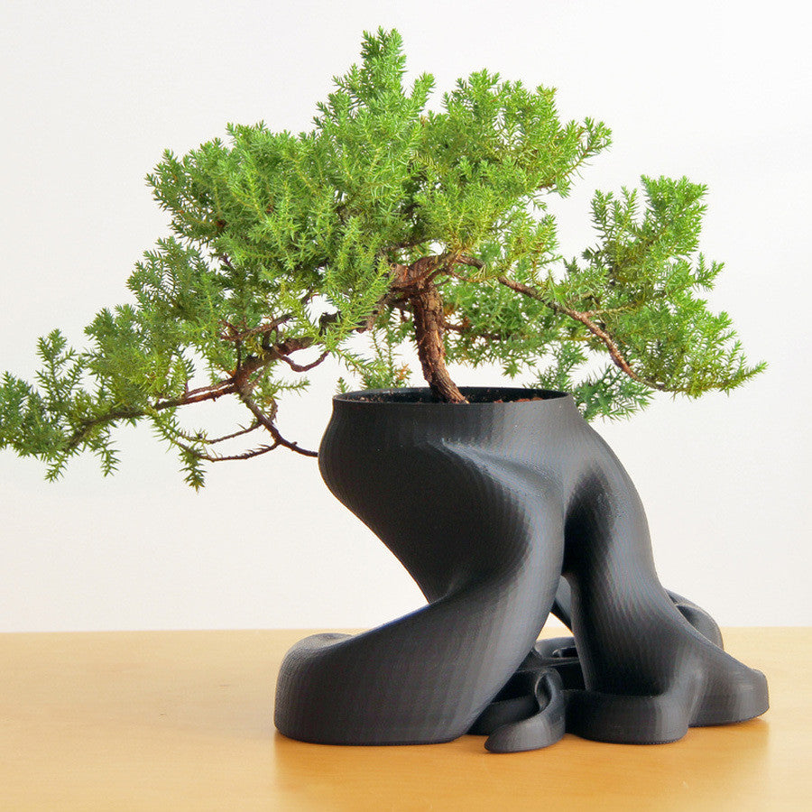 Bonsai Planter with Sculptural Root