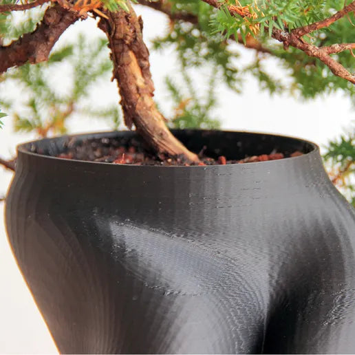 Bonsai Planter with Sculptural Root