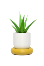 Solace Planter