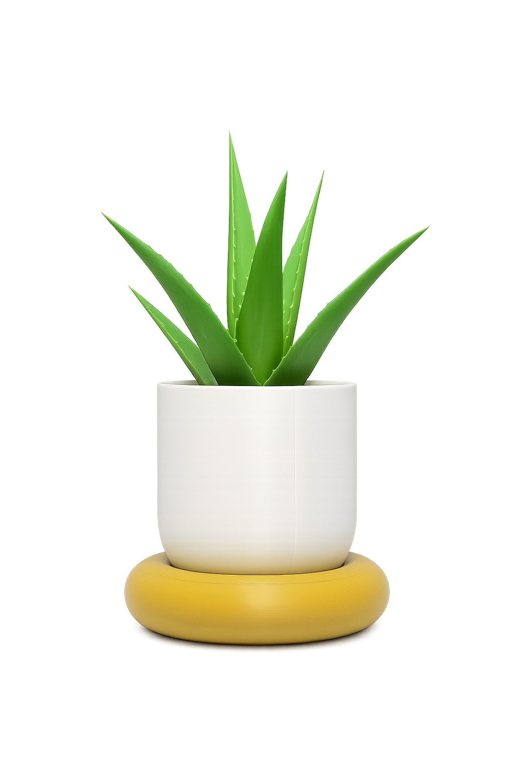 Solace Planter