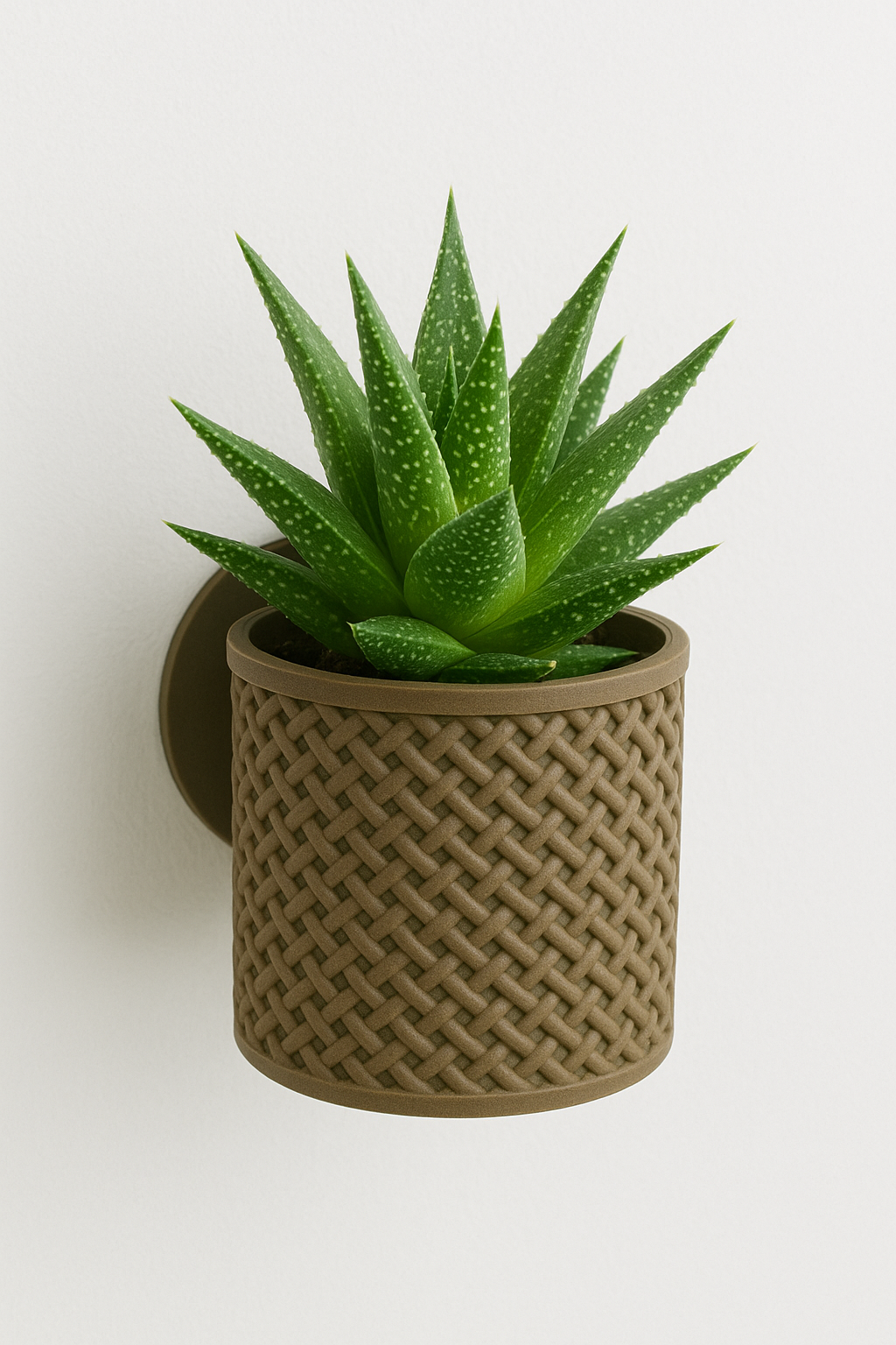 Loom Planter