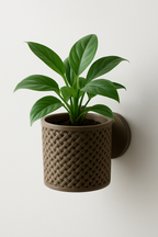 Loom Planter