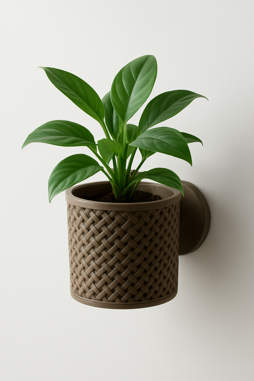 Loom Planter