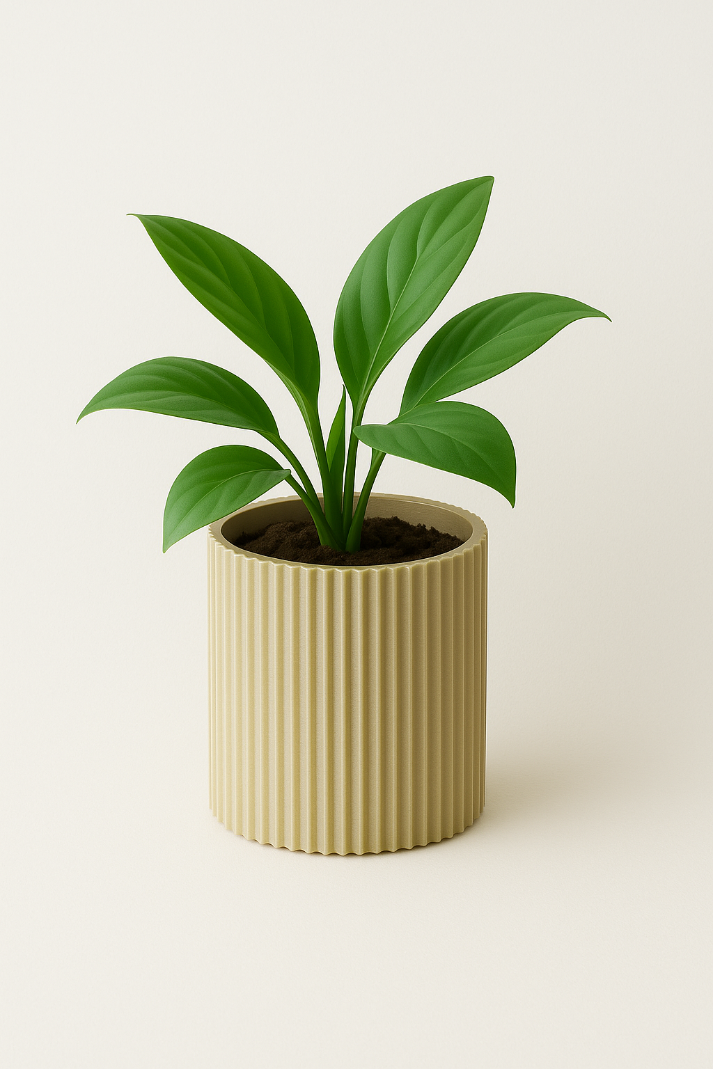 Stria Planter