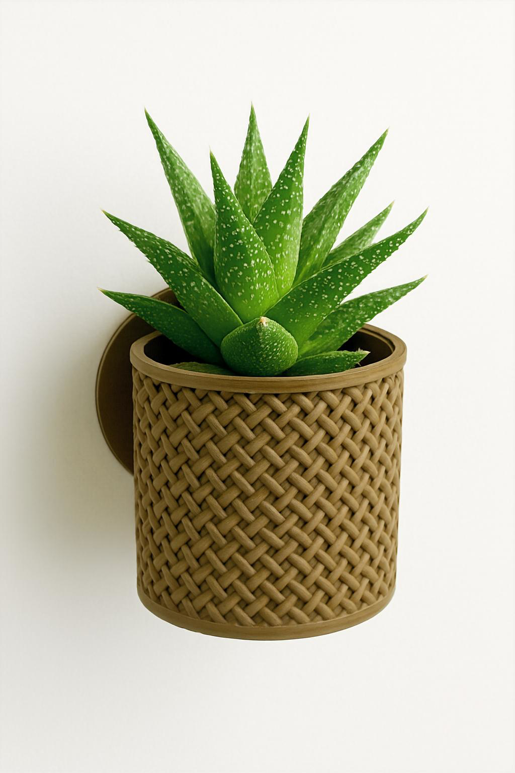 Loom Planter