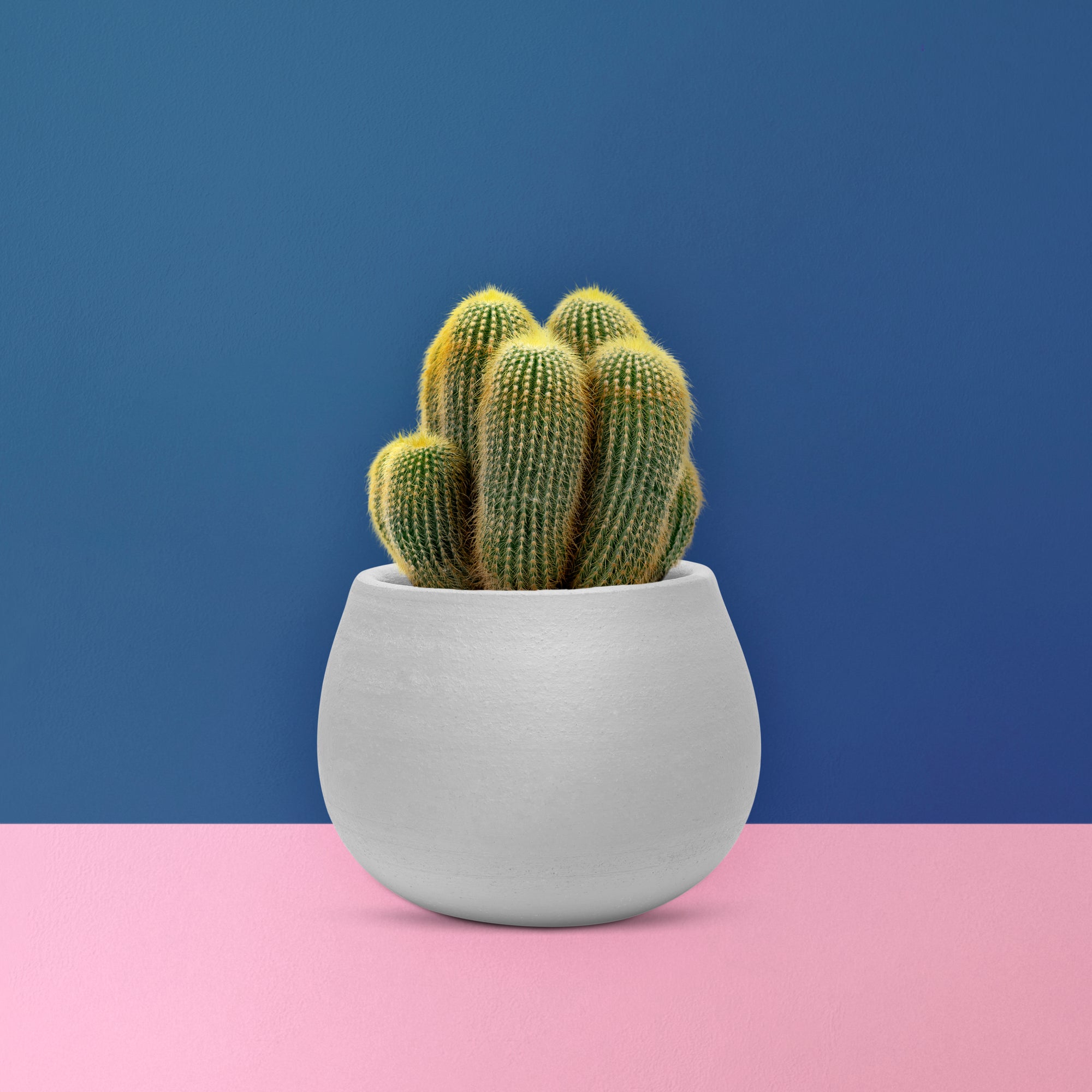 Geometric 3D Printed Planter